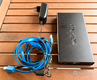 Hard Disk esterno Western Digital case Icy Box 1Tb