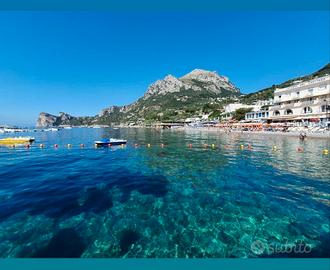 Case vacanza in costa sorrentina/amalfitana
