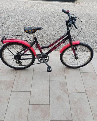 bicicletta bambina 20 pollici