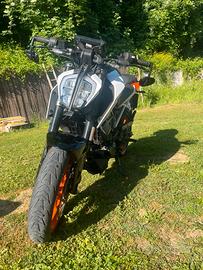 duke 125 2023