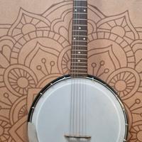 banjo guitar 6 corde vintage eko made in italy 