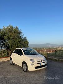 FIAT 500 Hybrid 1.0 Cult - finanziabile