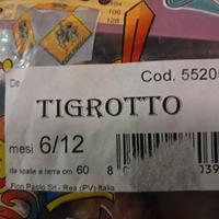 vestito di carnevale 
