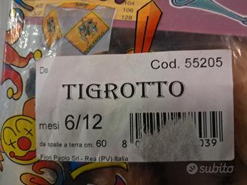 vestito di carnevale 