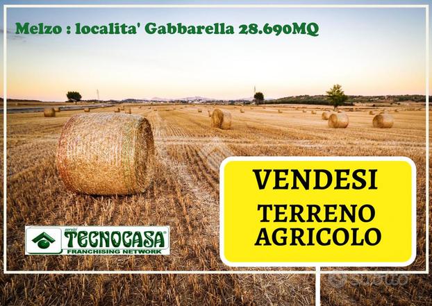 TER. AGRICOLO A CASSINA DE' PECCHI