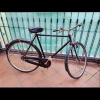 Bici uomo Citybike uomo