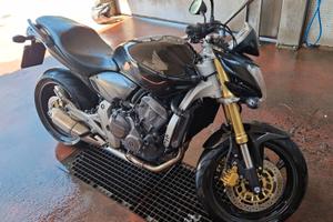HORNET CB600F NERA E ORO