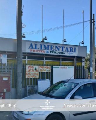 Immobile di 100 m² con 2 locali a Nettuno