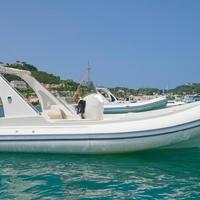Gommone Revenger 19,5 con Mercury 40/70