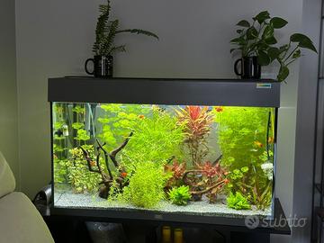 Acquario rio juwel 125