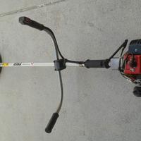 Decespugliatore o Taglia Bordi