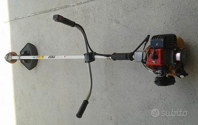 Decespugliatore o Taglia Bordi