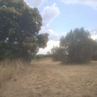Terreno con casa
