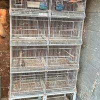 Batteria gabbie cova