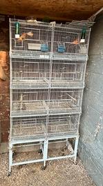 Batteria gabbie cova