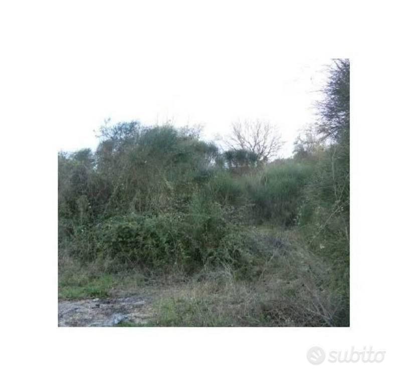 Immobile in asta di 676 m² a Bettona - Vista 2