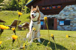 Chalet in montagna in una posizione isolata