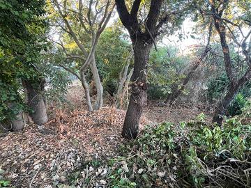 Rif.DR52- terreno agricolo aci sant'antonio
