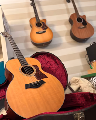 Taylor 555 12 corde del 1995