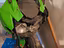 Immagine 2