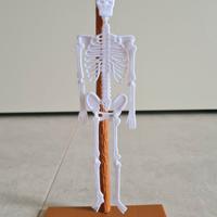 Impiccato - Gioco portatile