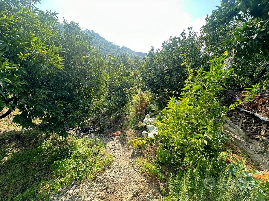 Terreno Agricolo Cataforio 1500 Mq - Vista 3
