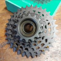 Pacco pignoni Regina Extra BX 6v 