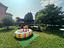 Immagine 20