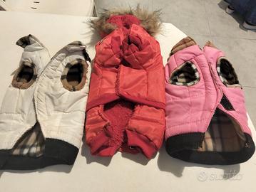 set 3 cappottini cani piccola taglia