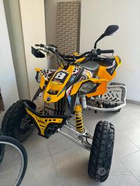 Can Am 450