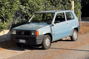 PANDA 141  COLLEGE - 1.1