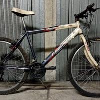 Bicicletta MTB Frejus sport series (MTB FRJ 680)