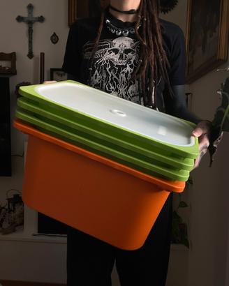 Contenitori ikea TROFAST