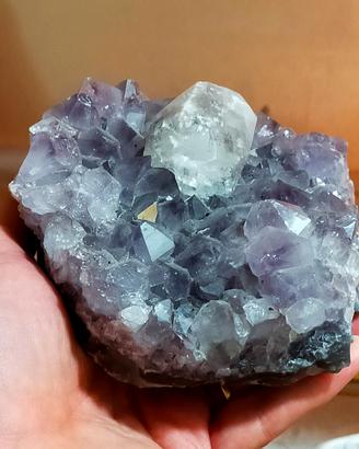 Drusa di Ametista con Cristallo di Calcite 