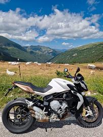 MV Agusta Brutale 675 EAS