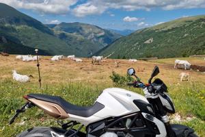 MV Agusta Brutale 675 EAS