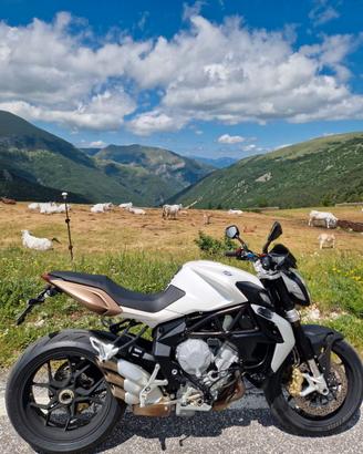 MV Agusta Brutale 675 EAS