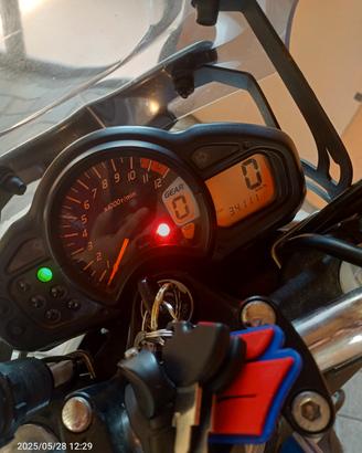 Suzuki Gladius 650 del 2010. secondo proprietari