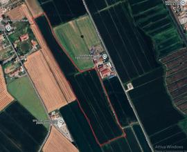 Terreni agricoli