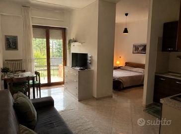 Monolocale con terrazzo - San Felice del Benaco