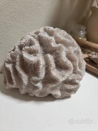Corallo  bianco naturale 