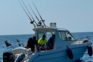 sessa dorado 22 suzuki 140 cv 2024