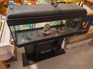 Acquario completo 100l