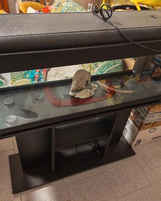 Acquario completo 100l