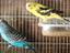 Immagine 5