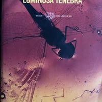 Libro Luminosa tenebra Michael Gregorio