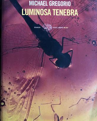 Libro Luminosa tenebra Michael Gregorio