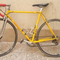 willer triestina pantani