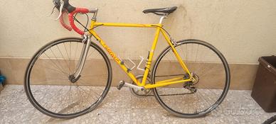 willer triestina pantani