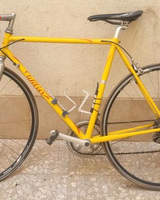 willer triestina pantani